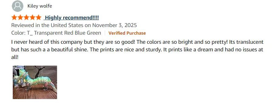 Customer review screenshot